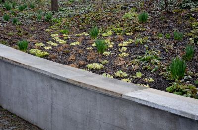 Retaining Walls and Edging